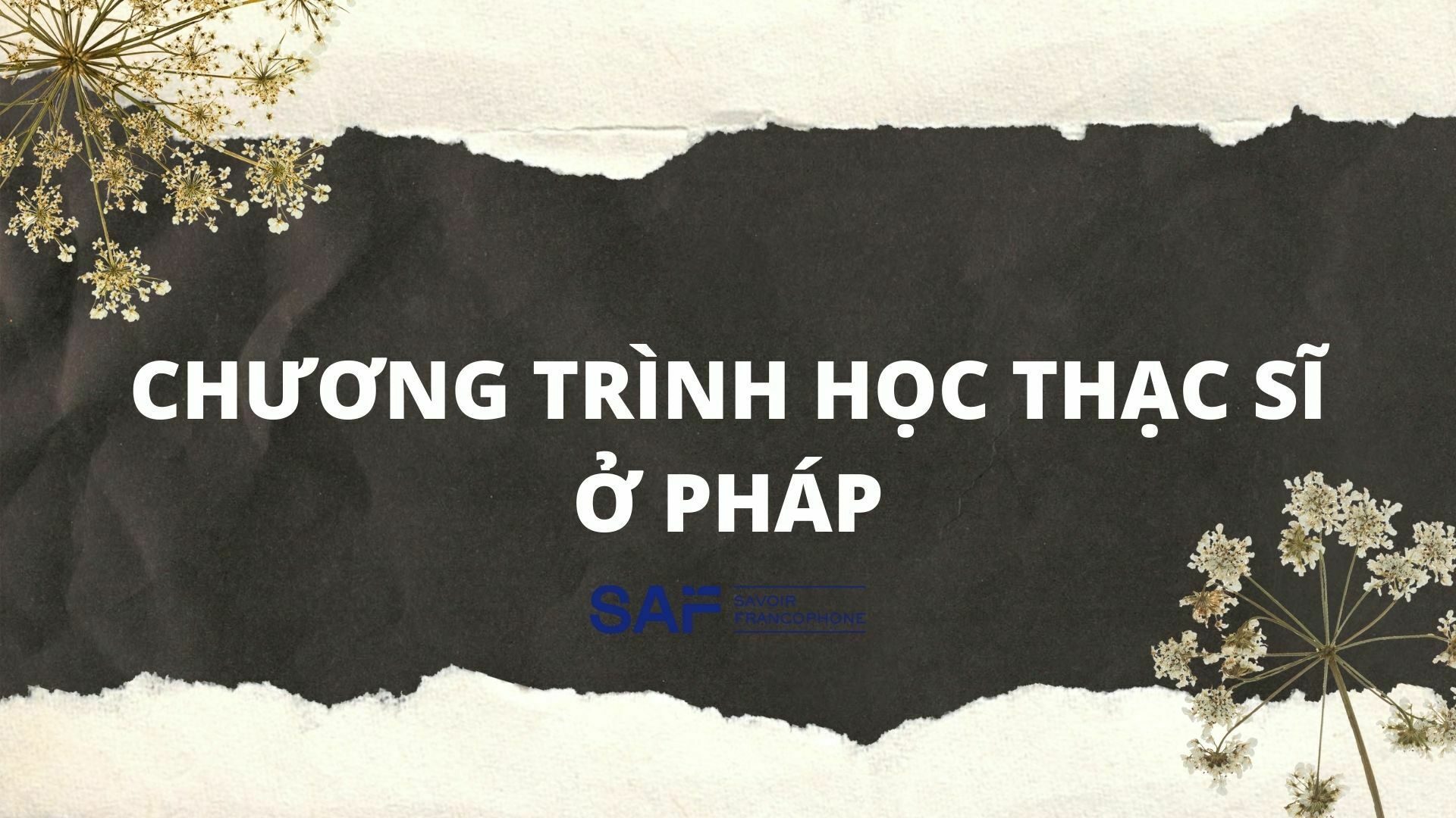Học thạc sĩ ở Pháp: Các chương trình đào tạo, chi phí du học, cách thức ứng tuyển