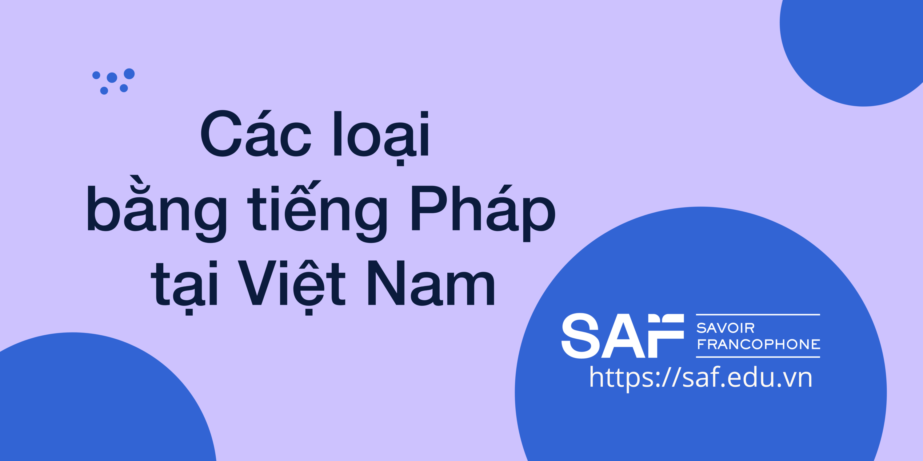 Chi tiết các loại bằng tiếng Pháp tại Việt Nam cho người lười tìm hiểu